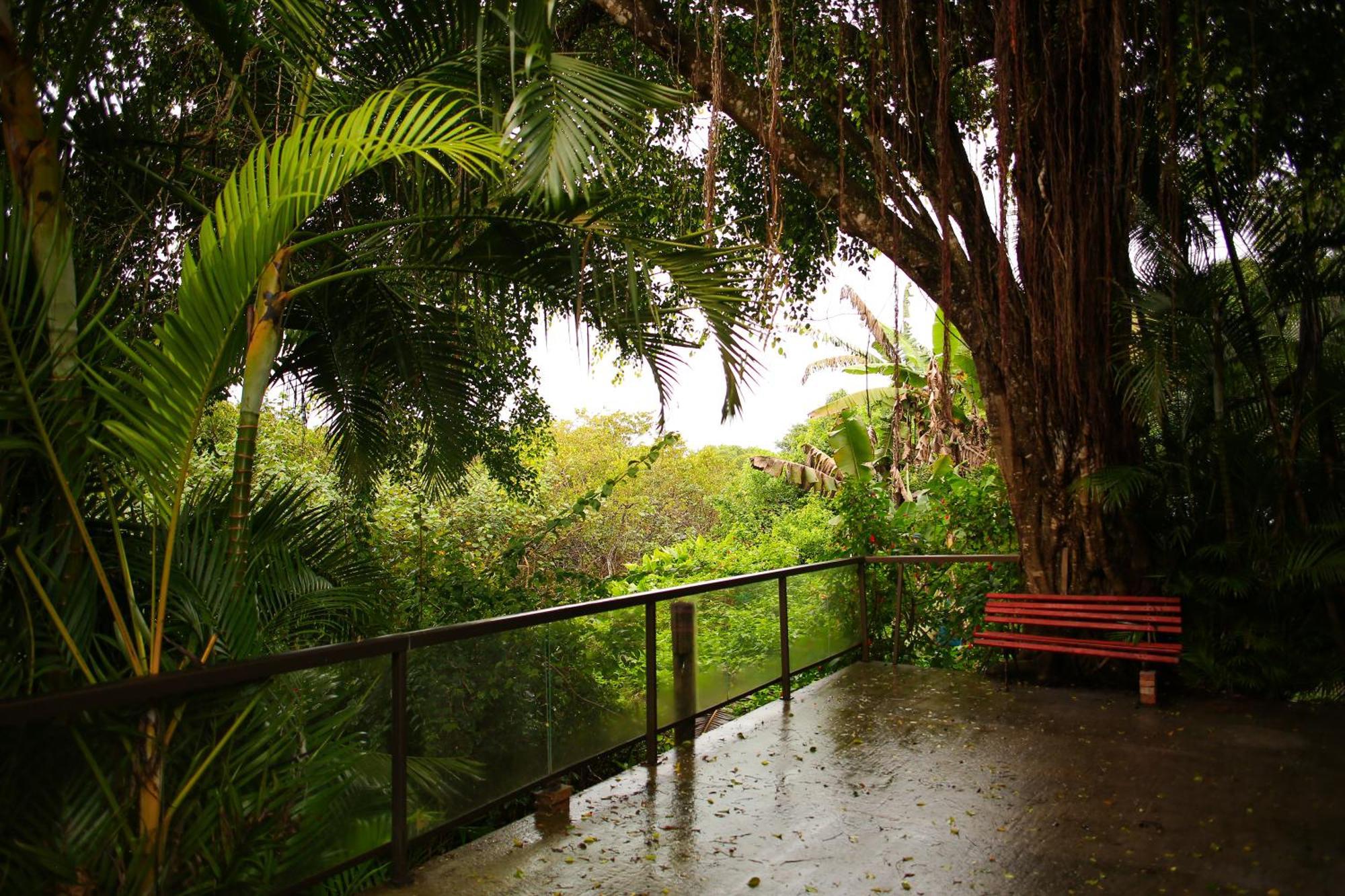 Pousada Villa Verde - Frente Para A Praia Do Farol Илья-ду-Мел Экстерьер фото